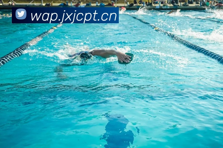 乐鱼官方站网页版登录入口服务体系